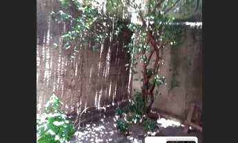 Imagem 4: Aluga se para pessoa solo