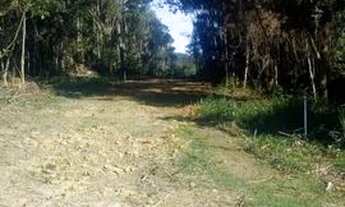 Imagem: Terrenos 1000 m2