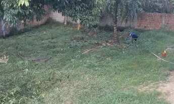 Imagem 3: Terreno em Tiuma