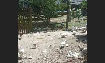 Imagem: Chácara Tagaçaba de cima, Município