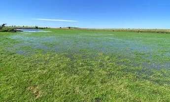 Imagem 5: Campo 62 hectares