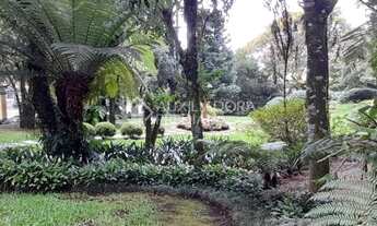 Imagem 4: GRAMADO - Apartamento Padrão - Planalto