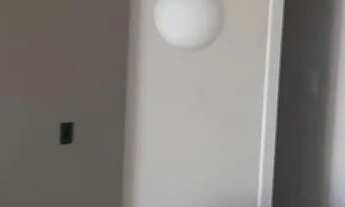 Imagem: Alugo germinado no bairro saguaçu Joinville