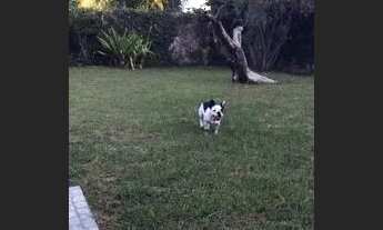 Imagem 2: Excelente casa de praia localizado no forte na ilha de Itamaracá