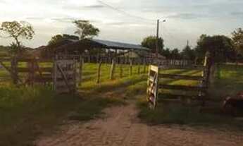 Imagem 4: Vendo fazenda 150 alqueires 97 % formada em braquiária e mambaça