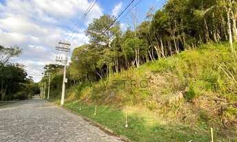 Imagem 3: Terreno no bairro Vila Suzana em Canela!