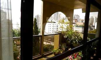 Imagem 3: PERDIZES- oportunidade