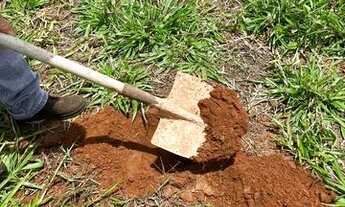 Imagem 7: Fazenda 2.900 hec em Feliz Natal MT