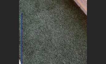 Imagem 5: RIBEIRÃO PRETO - Apartamento Padrão - VILA MONTE ALEGRE