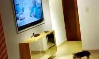 Imagem 2: C-AP3137 Apartamento mobiliado com 3 quartos (suíte) no Ahú