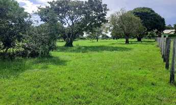 Imagem 2: Vendo Propriedade no Curral- Grande Monte - Alegre