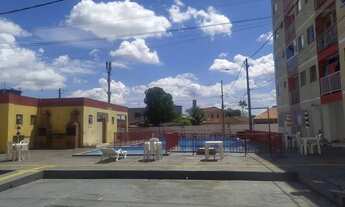 Imagem 5: Repasse Ilha dos Guarás