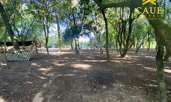 Imagem 7: Sítio de 11,5 hectares