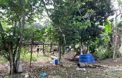 Imagem 6: CASA com poço artesiano, frutíferas e tanque de peixe
