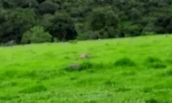 Imagem 2: Terreno rural em itatiaucu