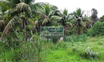 Imagem 5: 4 Lotes vendendo juntos ou separados 300m² cada em Pendotiba - Niterói - RJ