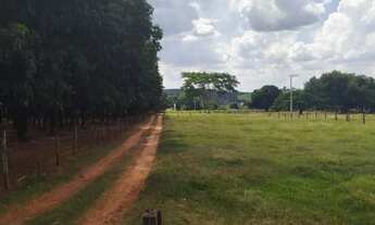 Imagem 5: SITIO DE 22.800M², MAIS BARATO QUE CHACARA!/ ACEITA ATÉ 50% DO VALOR EM TROCA