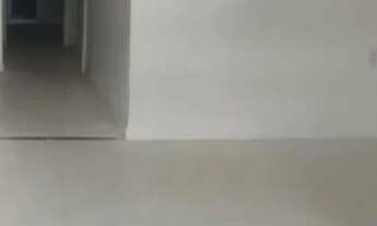 Imagem 2: Ponto Comercial - Jose Bonifacio - otimo para consultorios , escritorios - são brás