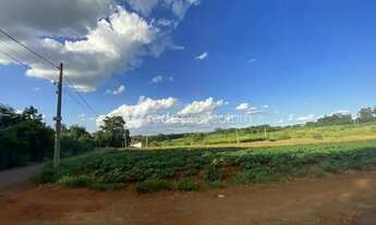 Imagem 7: área - Betel - Paulínia