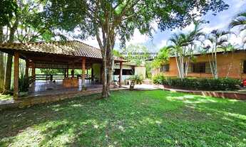 Imagem 3: Sítio Terreno Chácara KM 08 BR 174 Ramal da Capivara Manaus-AM 7.139m² Financia