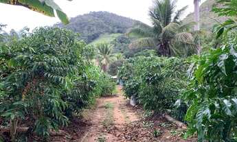 Imagem 5: Sítio em Boa Conserva próximo a Burarama