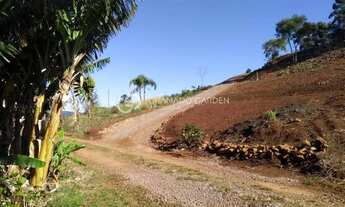 Imagem 7: SÍTIO À VENDA VÁRZEA GRANDE - GRAMADO/RS