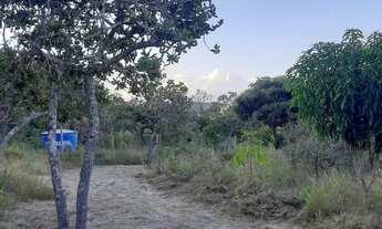 Imagem: Terreno- Picadas Gouveia MG