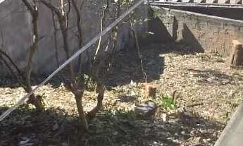 Imagem 6: Casa para venda possui 200 metros quadrados com 5 quartos