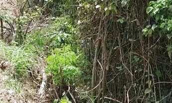 Imagem 2: Terreno (Em rua) à Venda, 360m² - Bairro Maravista em Niterói