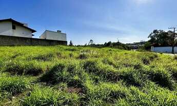 Imagem 4: Terreno plano de Esquina com 379m² - Chácara Hamburguesa em Novo Hamburgo Bairro Canudos R