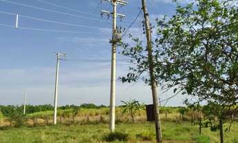 Imagem 4: Sítio Centenário à Venda São José do Rio Preto/SP