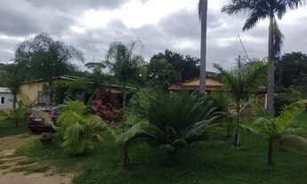 Imagem 3: Chácara ponte alta de cima, 2,6 hectares , muita água e pomar