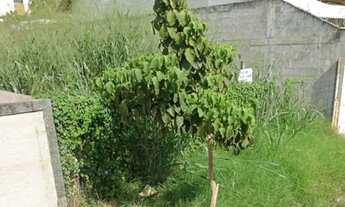 Imagem 4: Terreno em Campo Grande 8x22 com RGI