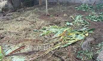 Imagem 6: Terreno em área nobre da Freguesia de Jacarepaguá