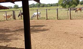 Imagem 4: Fazenda toda estruturada para pecuária, 7.821,44 hectares /1.616 Alqueires (4.84 Ha) Aragu