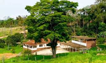 Imagem 7: Lote barato com doc regular em Ibiúna, ideal pra chácara