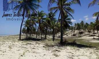 Imagem 4: Terreno no Litoral Norte Baiano com 177 hectares e a 750 metros frente de praia!