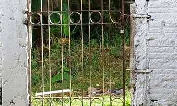 Imagem 2: Venda de casa Casa com 2 dormitórios