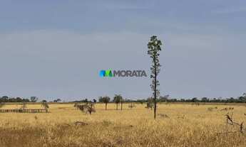 Imagem 3: FAZENDA À VENDA - 827 HECTARES - ABAETÉ (MG