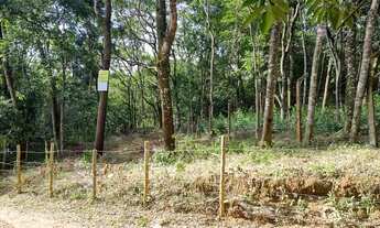 Imagem 3: Terreno em Mateus Leme