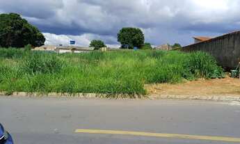 Imagem 5: ? Lote de Esquina à Venda - Parque João Braz