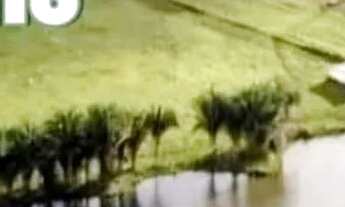 Imagem 7: Fazenda à venda Tocantins permuta