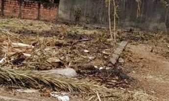 Imagem 2: Lote parque das nações bem localizado