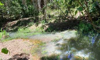 Imagem 3: Chácaras de 2mil mt em o trindade próxima do povoado de Santa Maria!