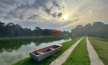 Imagem: Fazenda com 128 Hectares disponível pra