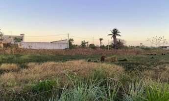 Imagem 2: Vende-se terreno no Francês - (12 × 30) 360 m²