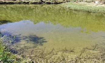 Imagem 6: Colônia Santos Andrade