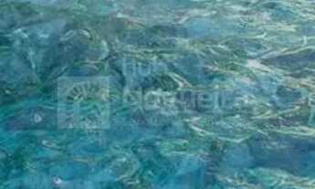 Imagem 3: Apartamento charmoso 2 quartos na Zona Sul