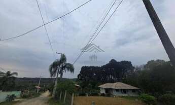 Imagem 3: Chácara com 2 dormitórios à venda, 2500 m² por R$ 380.000,00 - Zona Rural - Fazenda Rio Gr