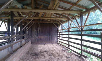 Imagem 4: Área de terras com 14 hectares localizada em São José do Sul